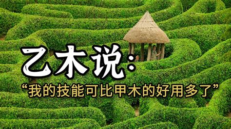 甲木 乙木|甲木和乙木的区别：三大区别